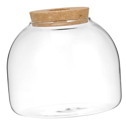 Housoutil Flasche Aus Korkglas Ökologische Glasflasche Fischschalen Aus Kunststoff Große Terrarienschale Hydrokulturvase Nachricht Wünscht Flasche Glasblasenschale Anlage Holz Betta Fisch von Housoutil