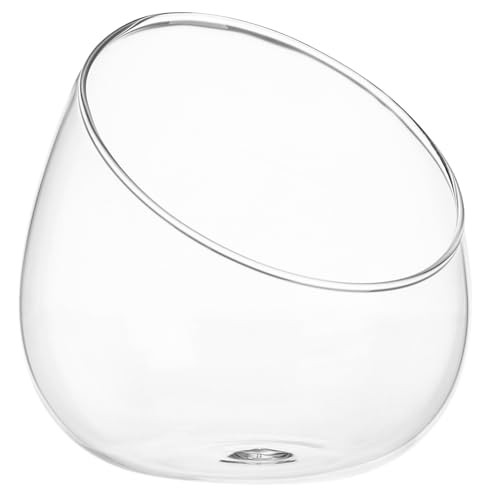 Housoutil Klar Neigung Form Schale Fisch Schale Pflanze Terrarium Bonbons Glas Vase Meisterwerk Vase Rund von Housoutil