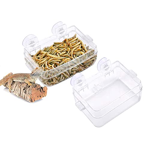 2 Pcs Reptilien Futterschale, Chamäleon Schüssel Anti-Escape Food Dish Schüssel mit Saugnapf für Chamäleon Leguan Eidechse Reptilienfutter und Wasserfütterung von Houtokit