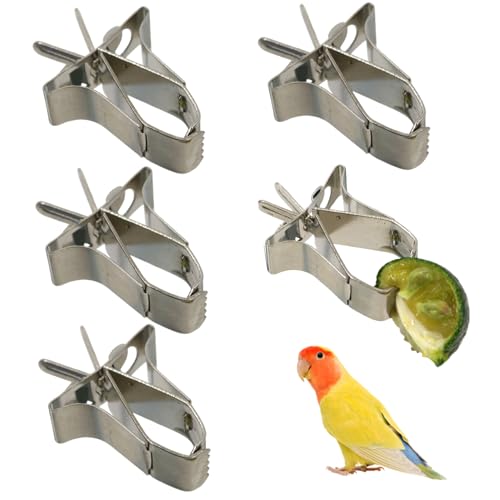 5pcs Vogel Lebensmittelhalter Käfig Mount Obst Vogelfutterhäuschtird Edelstahl Vogelfutterleiter Clipstil Silber Vogelfutterhäuscht von HoveeLuty