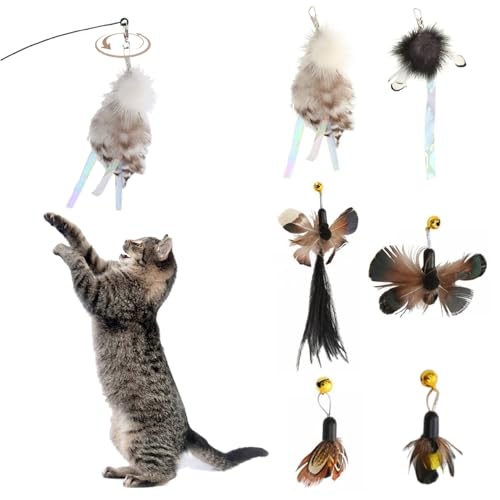 HoveeLuty 6pcs Katzenwurm Spielzeug nachfüllten Plüschkatze Spielzeug Stab Austausch mit Bell Random Color Cat Zauberstab Interaktive Katzenspielzeug -Nachfüllung für Innen- und Außenpatron von HoveeLuty