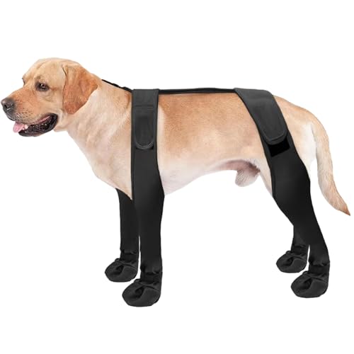 Hundestiefel für Winter Anti-Rutsch-Hosenträger Hund Winterstiefel mit verstellbaren Gurthund Schneeschuhen für Hunde Winter Schnee Regen Wanderpfoten Beschützer Mwinter-Stiefel für Dogsdog Bootsdog von HoveeLuty