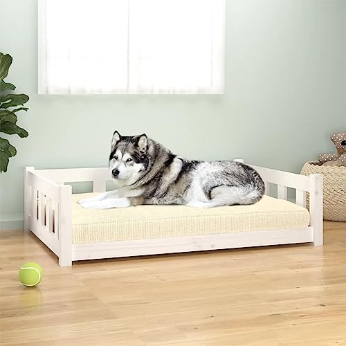 Hovothy Hundebett Bequeme Haustierbett Hundecouch Welpenbett aus Holz Haustiersofa Schlafplatz für Hunde als Auch Katzen Geeignet Wasserabweisend und Langlebig Weiß 105,5x75,5x28 cm von Hovothy