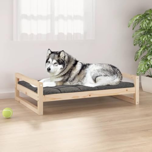 Hovothy Hundebett Bequeme Haustierbett Rechteckige Welpenbett Schlafplatz für Hunde als Auch Katzen Geeignet Massives Kiefernholz Wasserabweisend und Langlebig Braun 105,5x75,5x28 cm von Hovothy