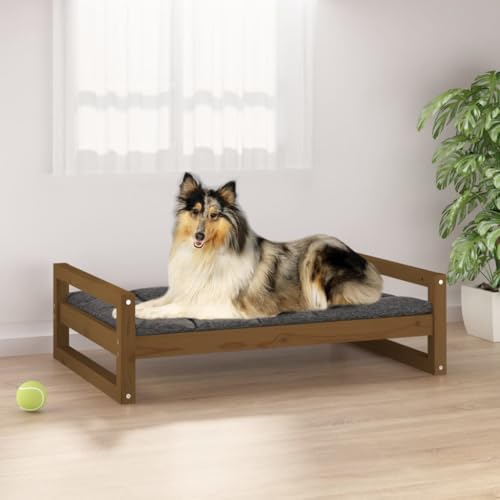 Hovothy Hundebett Bequeme Haustierbett Rechteckige Welpenbett Schlafplatz für Hunde als Auch Katzen Geeignet Massives Kiefernholz Wasserabweisend und Langlebig Honigbraun 95,5x65,5x28 cm von Hovothy