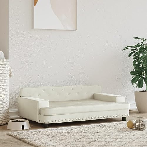 Hovothy Hundebett Bequeme Haustierbett Samt Hundecouch Welpenbett Haustiersofa Schlafplatz für Hunde als Auch Katzen Geeignet Wasserabweisend und Langlebig Creme 90x53x30 cm von Hovothy