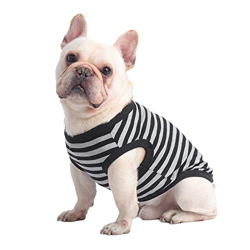 Hozz French Bulldog Shirts für Weste, 100 % Baumwolle, gestreift, Größe M, Schwarz von Hozz