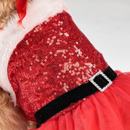 Entzückendes Weihnachtsmann-Hundekleid mit passendem Hut, perfekt für Festlichkeiten, Größe S von HpLive