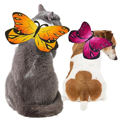 2pcs Kostüme für Katzen, Halloween Flügel für Hunde Schmetterlingsform Hundeflügel verstellbare Katzenbekleidung niedliche Filzstoff Katze Outfit Kostüme für Katzen von Hperu