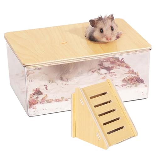 Hperu Hamster Sandkasten Hamster Sandbad, 2pcs/Set Hamster Sandbadbehälter mit Leiter, Hamster Sandkasten klares Hamster Sandbad Duschbad und Hamster Leiter für Lemming Rennmäuse von Hperu