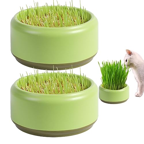 Hperu Katzengrasanbau Kit Katze Gras Pflanzer 2pcs Praktische runde Katzengrasbecher 5,3 Zoll Praktische Katzengras -Wachstumskit Haushalt Katze Gras Gärtner Samenrouter Tablett von Hperu