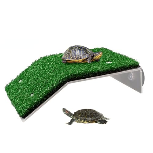 Hperu Schildkröte Rampenschildkröte, die Sich mit Saugnapfbär bis zu 2 kg Harzschildkrötenklettern Ruhestrahlterrasse Terrassen Tank Accessoires für Reptilienfrosch Terrrapin von Hperu