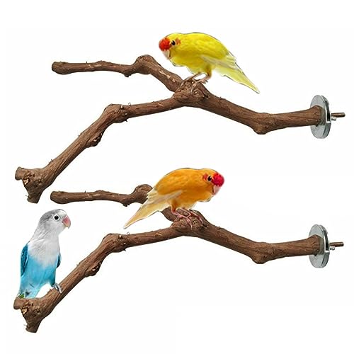 Papageienständer Barsch Vogel stehend Stick natürliche stehende Zweige für Vogelkäfigspielzeug 2pcs Vogelständer Barch von Hperu
