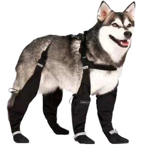 XL-Dog-Regenstiefel wasserdichte Hundestiefel mit Hosenträgern Anti-Schlupfhund-Hundeschuhe reflektierende Hundefälle und Pfotenschutz für mittelgroße große Hunde, Hundeschuhe für Wandern, regneris von Hperu