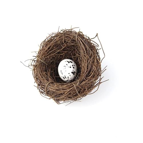 Hrlace künstliches Vogelnest Vogelhäuser Deko-Vogelnest mit Eiern naturgetreues Nest aus Zweigen und Stroh mit Kunsteiern Kunsthandwerk tolle Deko zu Ostern,Frühlingsdekoration 6 cm 1 Vogelei von Hrlace