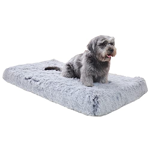 40 x 30 x 5 cm großes Hundebett, weiches Kissen, für große, mittelgroße und kleine Katzen und Hunde, hochwertiges orthopädisches Hundebett aus Memory-Schaum, abnehmbar, waschbar von Hruile