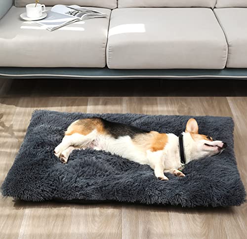 Plüsch-Hundebett Katzenbett, 12 cm dick, weich, warm, Haustierbett für große, mittelgroße und kleine Katzen und Hunde, rechteckig, dunkelgrau, Welpensofa, M–65 x 48 x 12 cm von Hruile