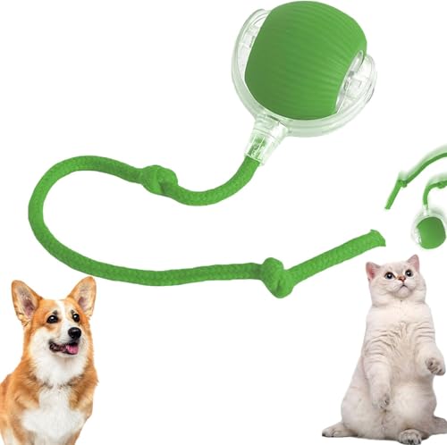 HshDUti Chewie Virals Rolling Ball, Chewie Ball für Katzen Hunde, Interaktives Hund Katze Smart Balls Spielzeug, Chewie Doggie Ball, 360° Smart Automatisches Rollen Große Kleine Katzen & Hunde von HshDUti