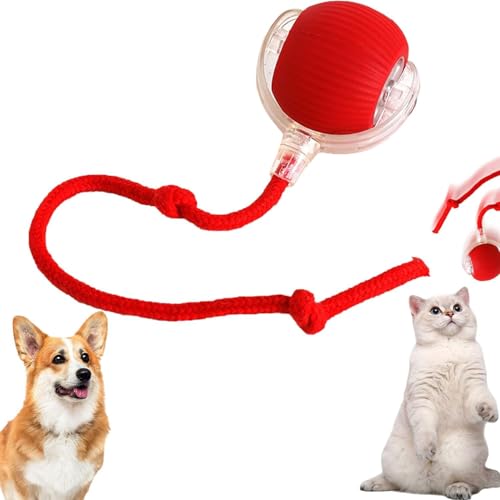 HshDUti Chewie Virals Rolling Ball, Chewie Ball für Katzen Hunde, Interaktives Hund Katze Smart Balls Spielzeug, Chewie Doggie Ball, 360° Smart Automatisches Rollen Große Kleine Katzen & Hunde von HshDUti