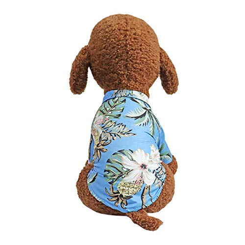 HshDUti Hundebekleidung Kokosnussbaum Ananas-Druck Sommer Hawaii Strand Haustier Hund Shirts Kleidung Chiffon Shirts Weich und Atmungsaktiv Hundeshirts Bekleidung Fit für kleine, extra kleine Hunde Katzen Blau XXL von HshDUti