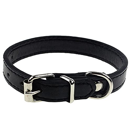 HshDUti Hundehalsband aus Leder, modisch, verstellbar, Kunstleder, einfarbig, für kleine und mittelgroße Hunde, Welpen, Katzen, Kaffeebraun von HshDUti