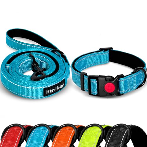 Hundeleine und Halsband, Hundeleine mit weichem Nylon-Handpolster, verstellbares, verstärktes Hundehalsband für mittelgroße und große Hunde, 1,5 m, Blau, Größe L von Htnlbqy