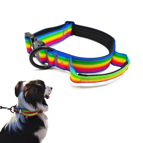 Huali Taktisches Hundehalsband, Premium-Qualität, verstellbar, strapazierfähig, dick, langlebig, mit Schnellverschluss-Metallschnalle (M, Regenbogen) von HuaLiPet