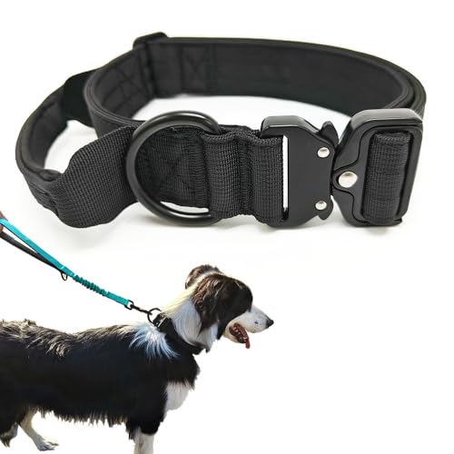 Huali Taktisches Hundehalsband, Premium-Qualität, verstellbar, strapazierfähig, dickes und langlebiges Hundehalsband mit Schnellverschluss-Metallschnalle (L, Schwarz) von HuaLiPet