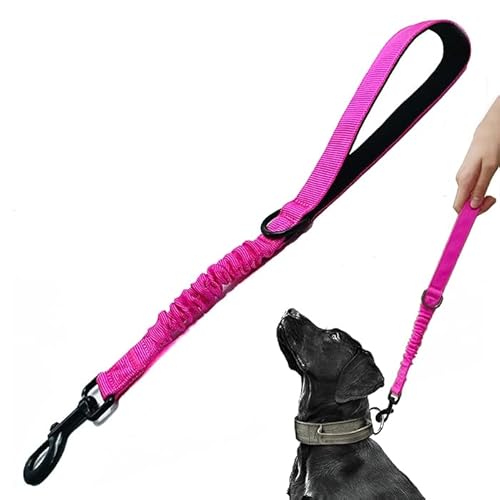 Trainingsleine für Hunde, kurz, 45,7 cm, 2,5 cm breit, strapazierfähig, elastisch, mit gepolstertem Griff, geeignet für mittelgroße und große Hunde, Hot Pink von HuaLiPet