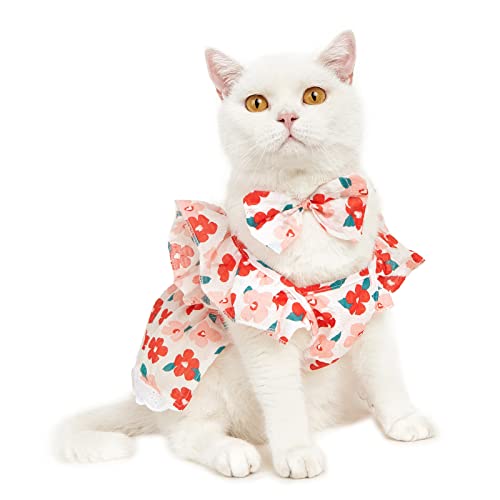 Huairdum Hundekleid, Baumwolle, Katze, Prinzessinnenkleid, Modisch, Atmungsaktiv für den Außenbereich (Blume M) von Huairdum