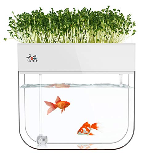 Hydrokultur-Garten-Aquaponische Aquarium-Pflanzen-Wachstumssystem, selbstreinigende Samen-Keimschale von Huamuyu