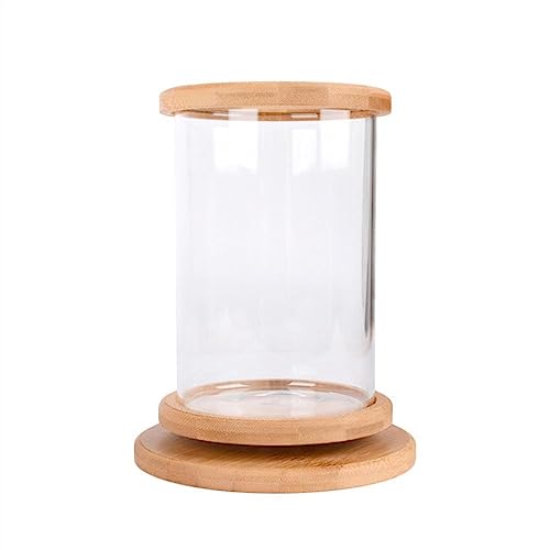 Aquarium Deko Aquarium-Tank, Klarglas-Aquarium mit Holzsockel, drehbarer dekorativer Tank for Aquarien, Kleiner ökologischer Aquarium-Tank Mini Aquarium von Huangj-0527