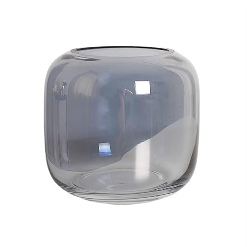 Aquarium Deko Graues Glasfischbecken, verdicktes transparentes kleines Fischbecken for die Fütterung Kleiner Fische Mini Aquarium von Huangj-0527