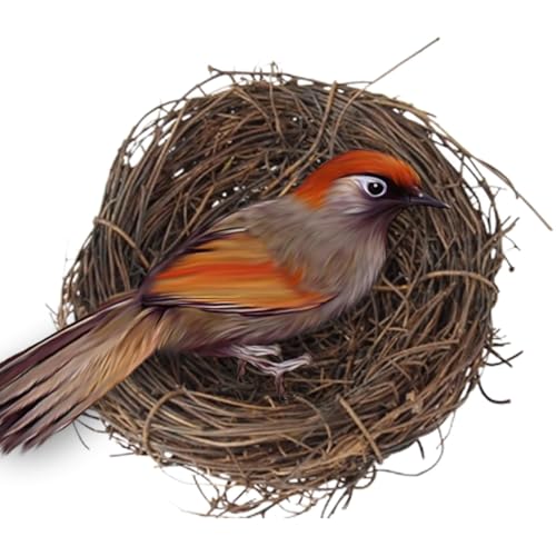 Huayeex 3 Stück Künstliche Vogelnester, Rattan Ostern Vogelnest, Rustikale Simuliertes Vogel Nest Einrichtungsgegenstände Aus Rattan Für Garten, Hof, Zuhause, Partys, Osterdeko (10 cm) von Huayeex