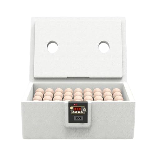 Huayeex Geflügel Brutmaschine - Brutgerät Für 10 Bis 25 Eier | Isolierte Brutbox Mit Vollflächenisolation Für Geflügel Truthänten Enten Reptilien Schildkröten Huayeex Geflügel Brutmaschine - Brutgerät Für 10 Bis 25 Eier | Isolierte Brutbox Mit Vollflächenisolation Für Geflügel Truthänten Enten Reptilien Schildkröten von Huayeex