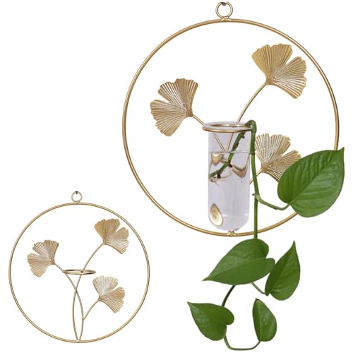 Huayeex Wandmontiertes Glaspflanzen-Terrarium | Hängender Wand-Pflanztopf mit Metallhalter – Glasbehälter mit Metallhalter für lebende Pflanzen, trockene Blumen von Huayeex