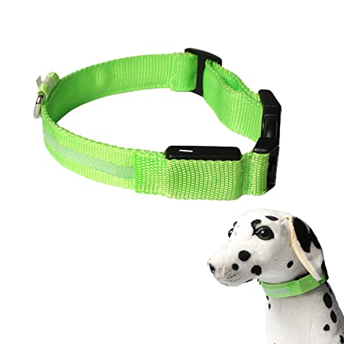 LED leuchtendes Hundehalsband - Haustierhalsband mit USB-Aufladung,Leuchtende blinkende Halskette, leuchtendes LED-Haustierhalsband, Outdoor-Walking Night Safety Supplies von Hudhowks