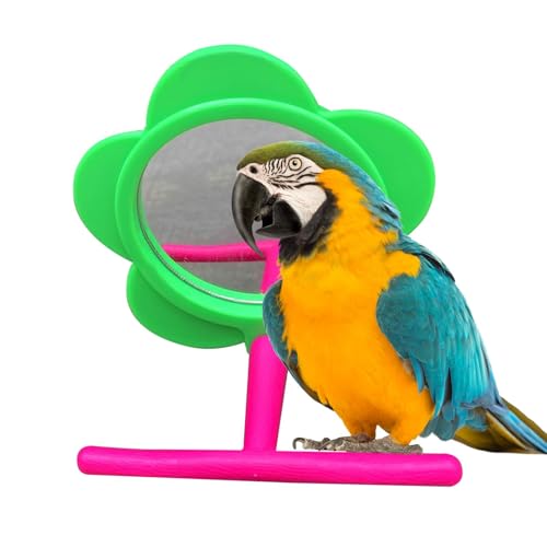 Hugsweet Papageien-Sitzstangen-Ständerspielzeug, Papageien-Sitzstangen-Ständer für Käfig,Cockatiel Interaktiver Holzbarsch mit Spiegel | Vogelkäfig-Vogelspiegel, Papageienspiegelständer für von Hugsweet