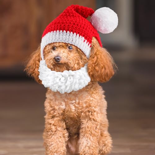 Huhumy Weihnachtsmütze für Welpen und Katzen, schöne Weihnachtsmannmütze mit weichem, flauschigem Bart für Katzen, Hunde, Haustiere (groß) von Huhumy