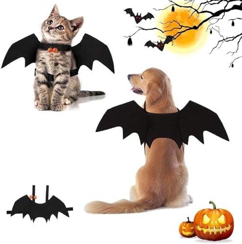 Fledermausflügel Katze,Halloween Katze Fledermaus Kostüm Flügel mit Kürbisglocke,Haustier Fledermaus Kostüm Niedlich Halloween Kostüm für Haustiere Cosplay-Kostüm für Mittleren Hund Katze für Partys,M von Huifengjie