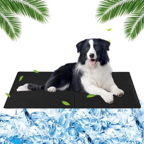 Kühlmatte Hund 65 x 50cm Kühlmatte für Hunde Kühlmatte mit Ungiftiges Gel, Kühlmittel Hund Kühlmatte für Hunde Groß, Kühldecke für Hunde, Selbstkühlend Kühlmatte für Hunde Katzen(Schwarz) von Huifengjie