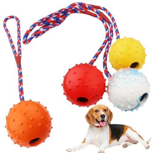 4pcs Ball Mit Schnur Hund,Naturgummiball Mit Seil Hundespielzeug,5.5cm Hundespielzeug Ball Mit Seil,Wurfball Mit Seil,unzerstörbarer Hundeball Mit Seil,großer Und Kleiner Hundeball,Wurfball für Hunde von Huiyoulan