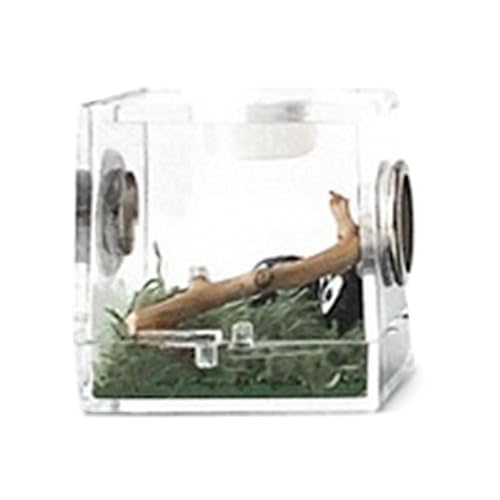 Reptilien Futterbox, Transparentes Acryl Reptilien Terrarium Reptilien Habitat Zuchtbox Mit Anti Flucht Design Und Lüftungsöffnungen Für MiniHaustiere, Schlangen, Spinnen von Humdcdy