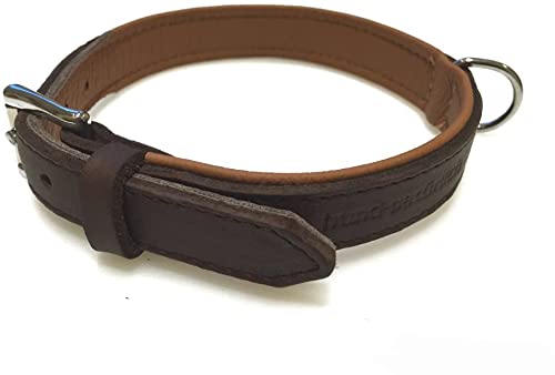 Lederhalsband für Hunde, Fettleder Hundehalsband gepolstert, Echtleder, braun Chrom Gr. 35 von Hund natürlich