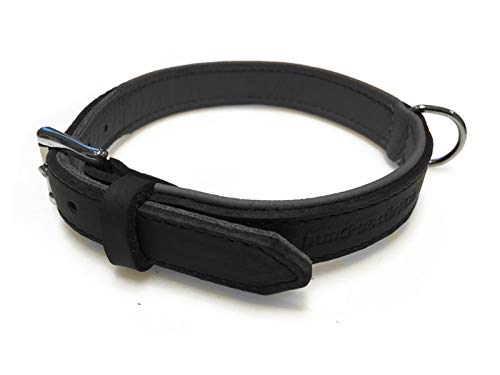 Lederhalsband für Hunde, Fettleder Hundehalsband gepolstert, Echtleder, schwarz Chrom Gr. 40 von Hund natürlich