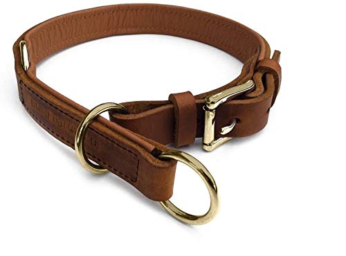 Zugstopp Lederhalsband für Hunde Schlupfhalsband Cognac, Messing Gr. 35 von Hund natürlich