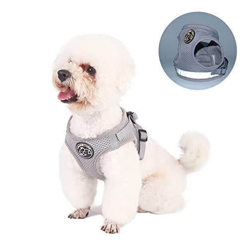 Hundegeschirr Set mit Leine- Hund&Katze Klein Weich Vest- Verstellbar Sicher Kontrolle Welpengeschirr Weste & Reflektorstreifen verstellbares Geschirr (M, Grau) von Hund&Kutz