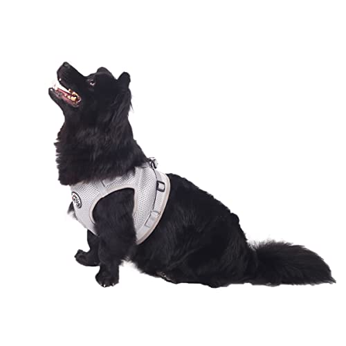 Hundegeschirr Set mit Leine- Hund&Katze Klein Weich Vest- Verstellbar Sicher Kontrolle Welpengeschirr Weste & Reflektorstreifen verstellbares Geschirr (XL, Grau) von Hund&Kutz