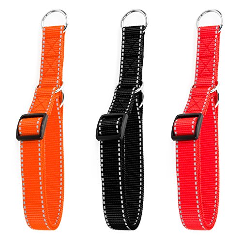 Hunde Design Reflektor Dressurhalsband mit Stoppring Rot 24-34cm / 20mm von Hunde Design