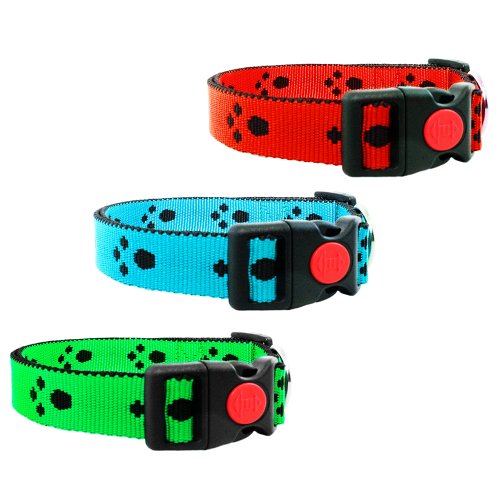 Hundehalsband mit Pfoten 20mm 24-34cm/20mm Grün von Hunde Design